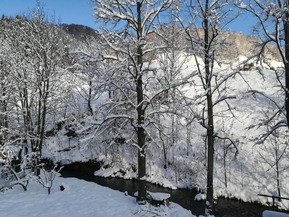 Villa Wellness privát Štyri Lipy Liptovske Revuce Esterno foto